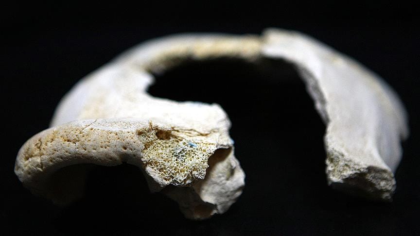 Afrika dışında bilinen en eski modern insan fosili keşfedildi