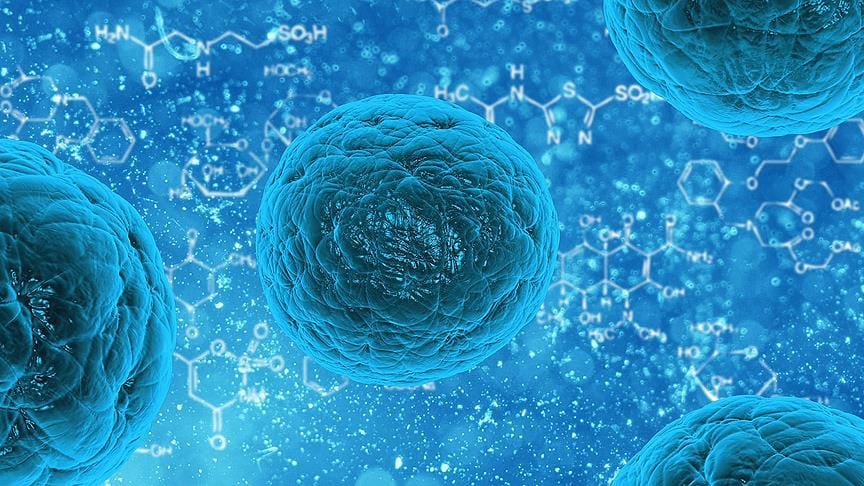 ‘Sıradan’ deri hücresinden ‘doğurgan’ kök hücre