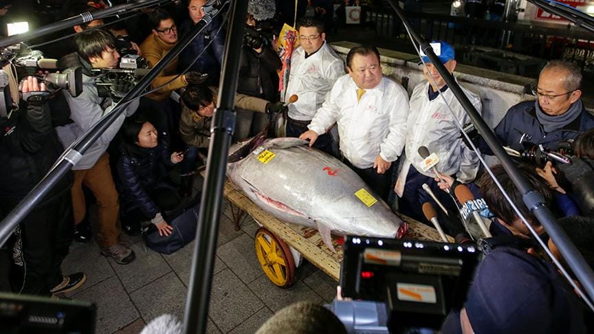 Japonya’da yılın ilk orkinosu 320 bin dolara satıldı