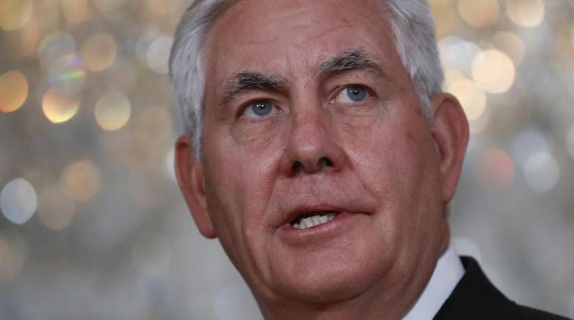 Tillerson ve Şukri’nin gündemi terör