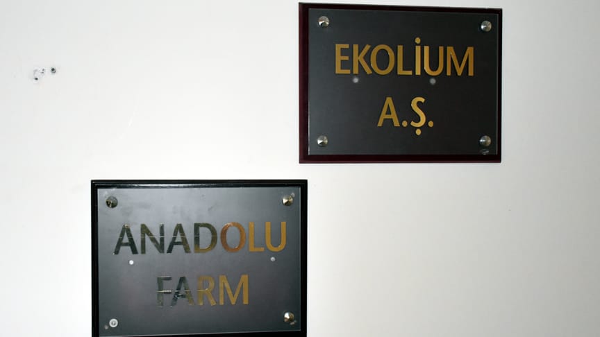 Sanal oyunla 8 ayda 90 milyon lira toplamışlar