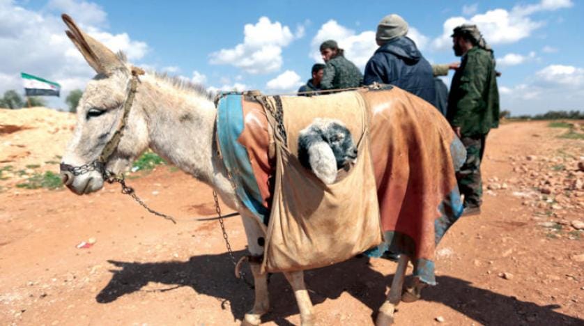 Erdoğan’ın Afrin açıklamalarına YPG’den cevap