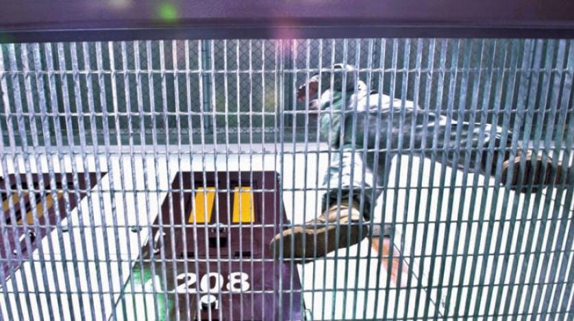 “Guantanamo 25 kişiyi daha ağırlayabilir”