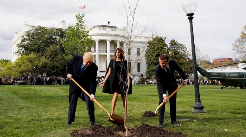 Macron ile Trump’ın Beyaz Saray’a diktiği fidan nasıl kayboldu?