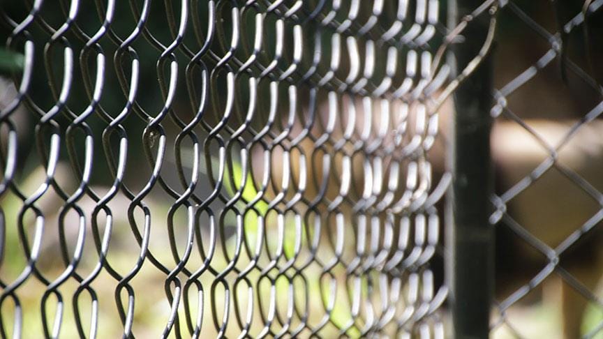 Oğlunu 20 yılı aşkın süredir kafeste tutan babaya gözaltı