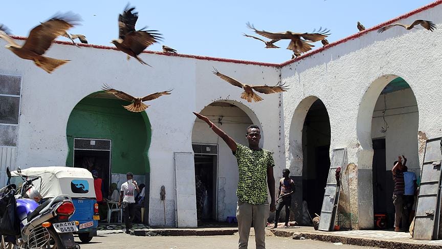 İslam’ın ‘dördüncü kutsal şehri’: Harar