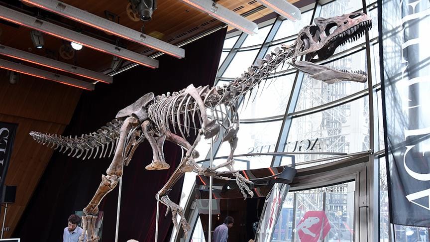 Dinozor iskeletine 2,36 milyon dolar