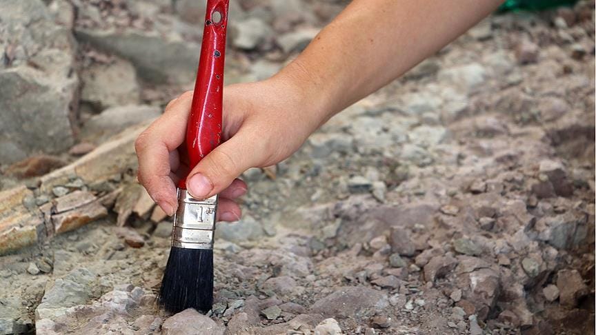 Meksika’da yeni dinozor türü keşfedildi