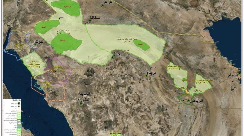 Suudi Arabistan’da, doğal koruma alanları oluşturuluyor