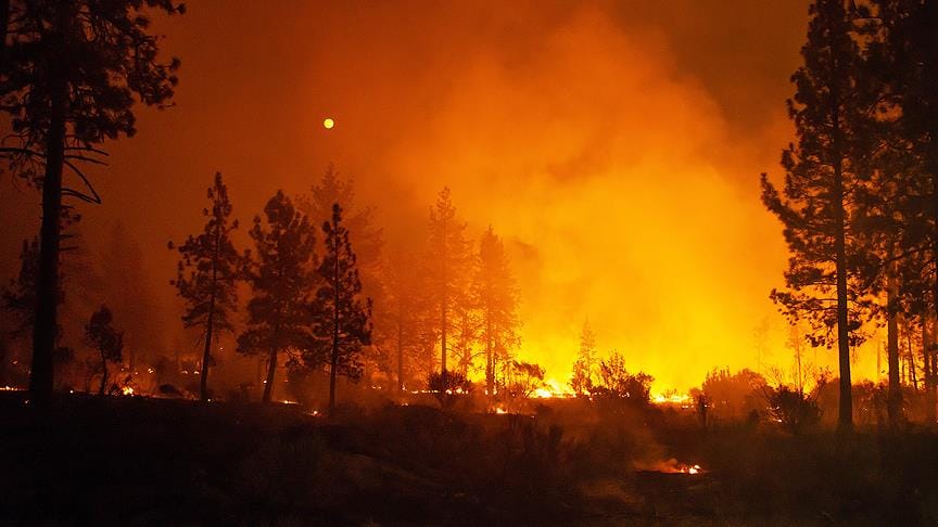 California’daki yangınlar 50 bin kişiyi evinden etti