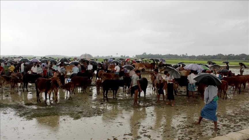 BM Myanmar Özel Temsilcisi: Arakan krizinin çözümü zaman alacak