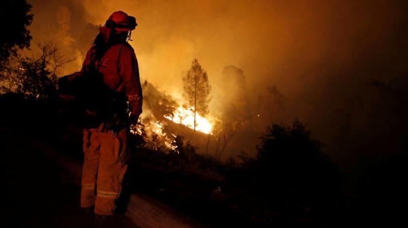 California’da halk orman yangınlarıyla boğuşuyor