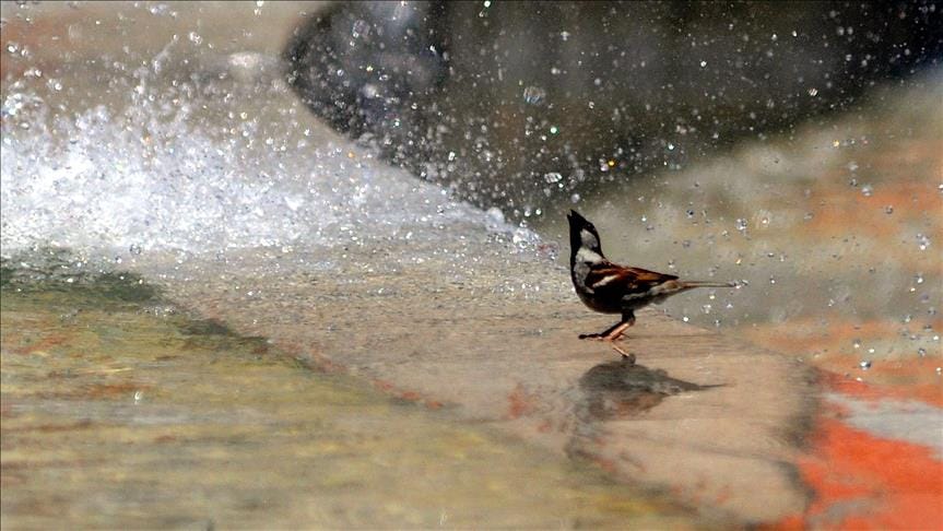 Vatandaşlar dikkat! ‘Eyyam-ı bahur’ sıcakları geliyor