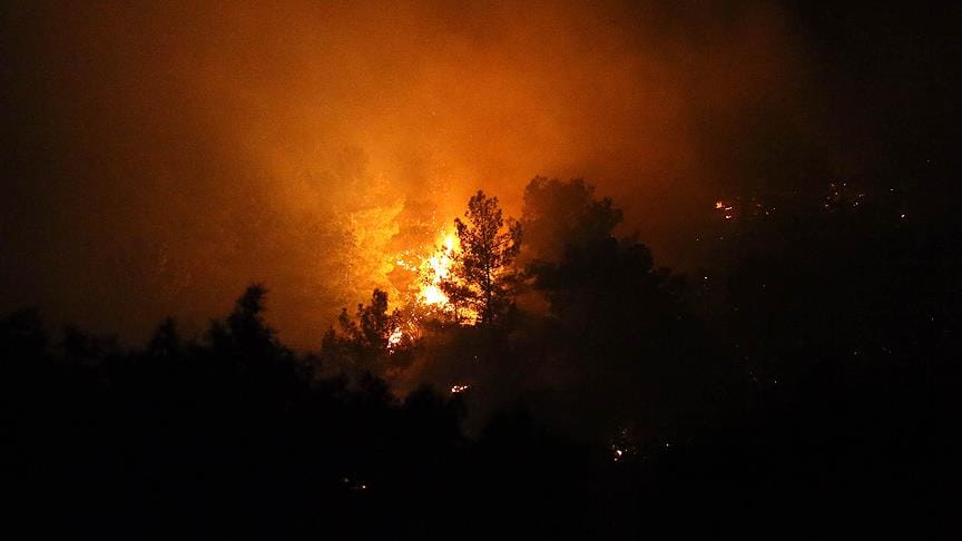 Antalya’da orman yangını