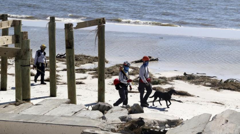 Florida’daki arama kurtarma faaliyetlerine eğitimli köpekler de katıldı