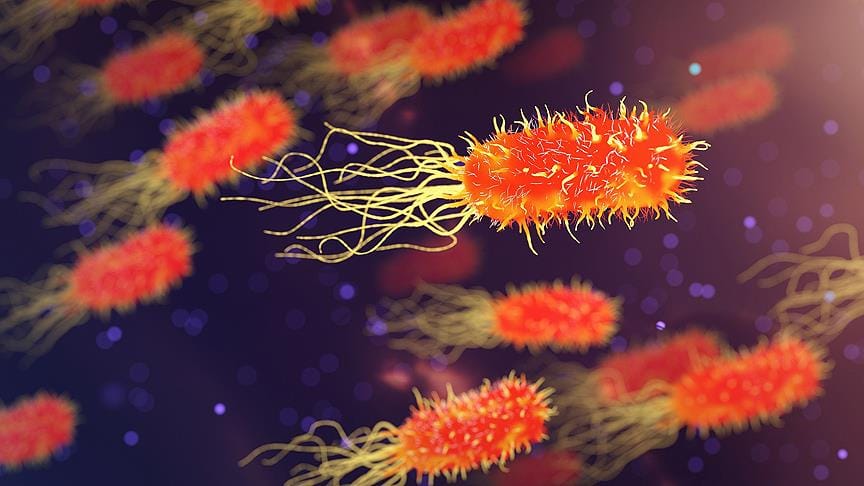 OECD’den ‘antibiyotiklere dirençli bakteri’ uyarısı: 2,4 milyon insan ölebilir