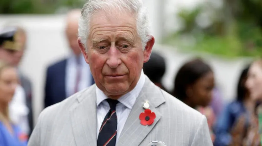 Prens Charles: Her şeye burnumu sokacak kadar aptal değilim
