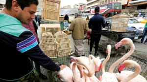 Bağdat Operasyon Komutanlığı 600 caddeyi açtı ve 281 güvenlik noktası kaldırdı