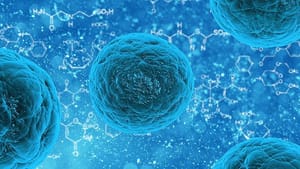 ‘Sıradan’ deri hücresinden ‘doğurgan’ kök hücre