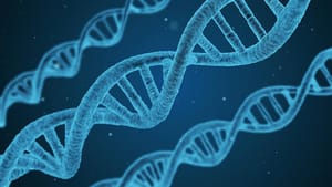 Türk bilim insanları neolitik dönemin DNA şifrelerini çözecek