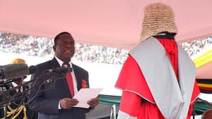 Zimbabve Devlet Başkanı’ndan “mal varlığı” çağrısı