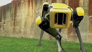 Hamam böceği gibi duvarlara tırmanabilen robotlar