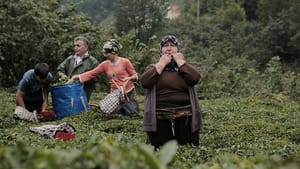 Doğu Karadeniz’in ‘ıslık dili’ TÜBİTAK projesi oldu