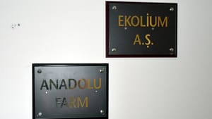 Sanal oyunla 8 ayda 90 milyon lira toplamışlar