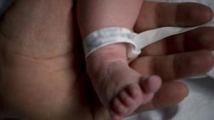 Japonya’da metruk bir evde cam şişelere konulmuş bebek cesetleri buldu