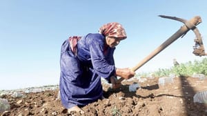 Gazzeli kadınlar aileleri için geçim mücadelesi veriyor