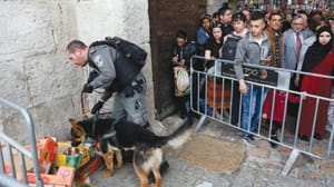 Filistinli bir genç cinayet işlediği iddiasıyla öldürüldü