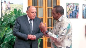 Mısır ve Kenya ‘Nahda Barajı’nı görüştü