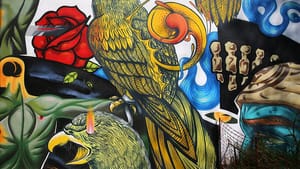 İstanbul’un duvarlarını grafiti ile ‘dile getiriyor’