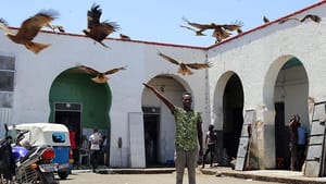 İslam’ın ‘dördüncü kutsal şehri’: Harar