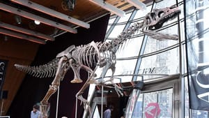 Dinozor iskeletine 2,36 milyon dolar