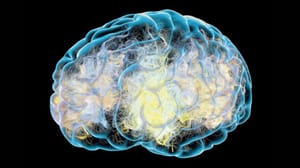 Beyin sinyallerindeki tıkanıklık Parkinson hastalığına neden oluyor