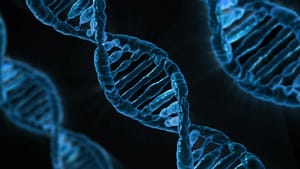 Tüketilen gıdanın DNA’ya ‘net’ etkileri tespit edildi