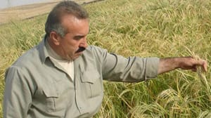 Irak’ta tarım arazileri su kıtlığı nedeniyle azaldı