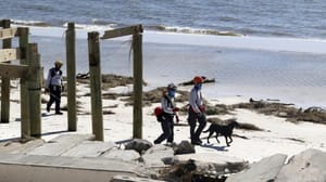 Florida’daki arama kurtarma faaliyetlerine eğitimli köpekler de katıldı