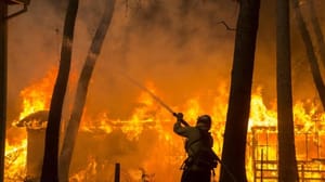 California orman yangınları nedeniyle zor günler geçiriyor