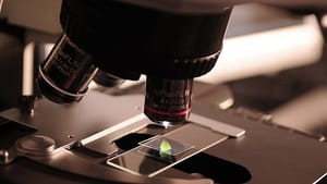Atomlar, boşluktaki nesneleri çeken ışınla kapana kıstırıldı