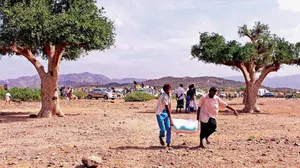 Yemen hükümetinden Dünya Gıda Programı’na çağrı