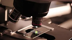 Atomlar, boşluktaki nesneleri çeken ışınla kapana kıstırıldı