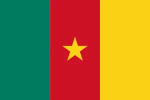 Kamerun ABD’li misyonerin ölümünden teröristleri sorumlu tutuyor
